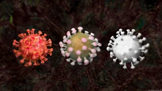 Entenda a diferença entre endemia, epidemia e pandemia