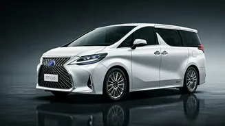 Vicky Kaushal's Luxurious Ride: The Lexus LM 350h