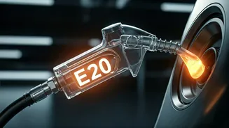 ARAI Links E20 Rollout To Rigorous Testing
