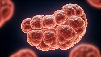 India's Silent Cortisol Crisis: How Chronic Stress Unravels Women's Health