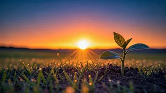 April 13-19, 2026: Embrace New Beginnings and Deeper Connections