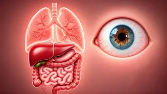 Nourish Your Body: A Culinary Guide to Organ Health for Better Living