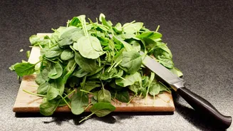 How to freeze spinach and keep it fresh for longer