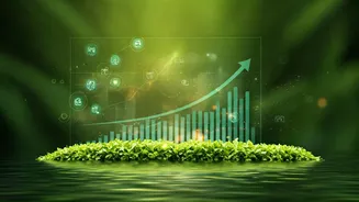 Inside India's Mega 11.3% Annual Wellness Economy Expansion