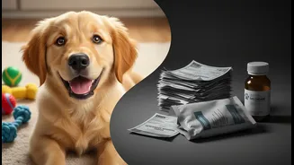 Impulse Pet Spending Can Hide The True Cost Of Long-Term Ownership