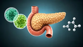 Type 2 Diabetes: Why Diet & Exercise Work for Some, But Others Need Insulin