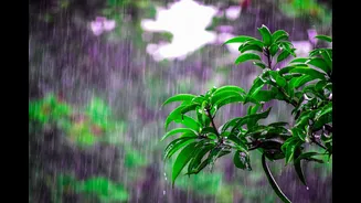 Mumbai monsoon finally lands Monday — yellow alert kicks in for June 22 and 23