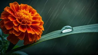 June Festivals Make Monsoon Feel Less Gloomy