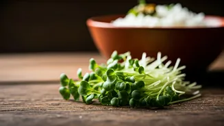 Radish Shoots Turn Regular Homemade Indian Food Into Nutrient Goldmine