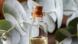 Eucalyptus Oil Should Be Diluted Before It Ever Touches Skin