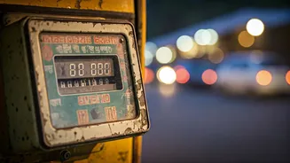 Mumbai Commuters: Location & Fare Beat Language Mandate for Auto-Rickshaws