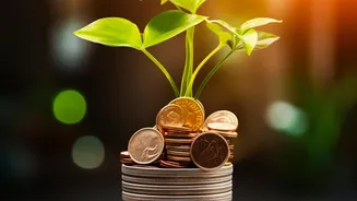 A Maturing FD May Face Similar Rates if the Current Pause Continues