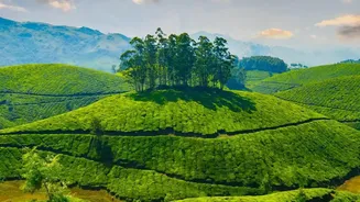 Can Kerala Balance Premium Tourism With Broad Local Benefits
