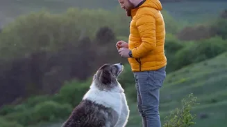 Dog-Human Communication Shows Cross-Cultural Similarities without Erasing Living Conditions