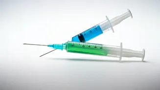 Seoul-Tokyo Summit: Strengthening Bonds for a Brighter Future