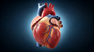 Heart Health: Daily Habits You Need to Ditch Now