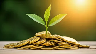 The Earlier You Invest, The Less You Stress