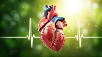 Heart Health Habits: Live Longer, Happier!