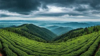 Scenic Hill Stations Witness Influx Of Early Monsoon Chaser Groups