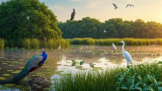 India's Top 10 Birding Havens: A Wetland Dream for Ornithologists