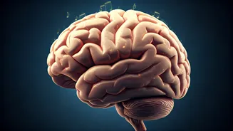 Music, Dementia & Cognitive Health: A Doctor's Insights