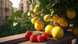 Balcony Fruit Growing Has Entered The Group Chat