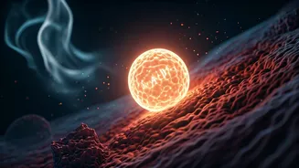 Related Stories banner