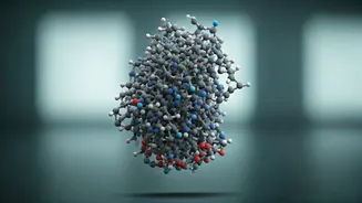 India's Protein Debate: Influencer Sparks Fierce Health Community Clash