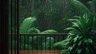 Monsoon Honeymoons Are Having A Moment