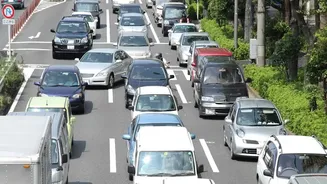 How Daily Infiltration Of City Traffic Noise Silently Disrupts Human Hormonal Equilibrium And Elevates Cortisol