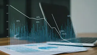 Trent's Revenue Dip: Examining the Q2 Slowdown