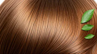 Related Stories banner