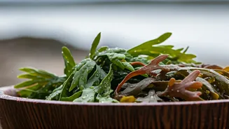 Dive into Tradition: The Ancient Art of Seaweed Bathing for Ultimate Relaxation