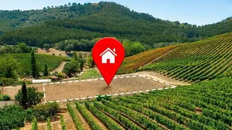 Nashik Grape Farmers Use Computer Vision Drones To Prevent Downy Mildew Outbreaks