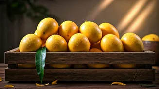 Weekend Prepping Explodes As Chausa Mangoes Drop In Indian Mandis