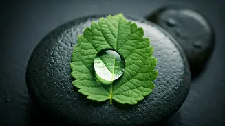 Master Your Breath: 5 Techniques for Stress Relief, Sharper Focus, and Enhanced Well-being