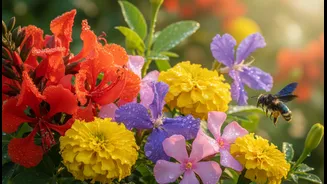 Native Plants Often Suit Local Weather And Local Pollinators Better