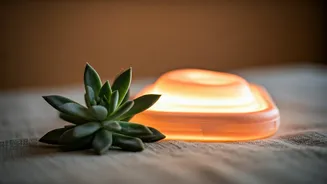 Related Stories banner