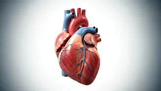 Health Experts' 5 Habits: Unlock Longevity & Vitality