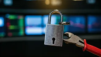 SEBI's Focus: Cracking Down on Stock Tipsters