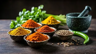 Indian Kitchen Essentials: 10 Quick & Delicious Recipes