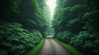 Monsoon Trips Demand Responsible Travel Decisions First