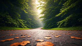 Why silent walks are gaining popularity