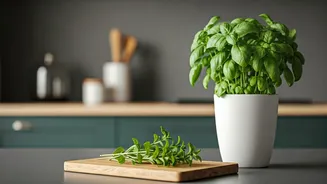 Kitchen Plants Are The New Practical Decor Crush
