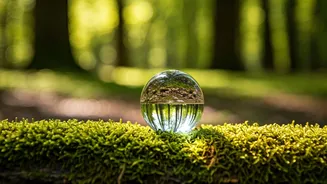 Navigating Emotional Well-being: A Guide for Resilience
