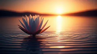 Celebrate Buddha Purnima 2026: 70+ Heartfelt Wishes, Messages & Quotes for Inner Peace