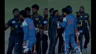 What is the penalty for an on-field physical brawl in cricket?