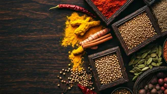 India's Culinary Delights: A Gastronomic Journey