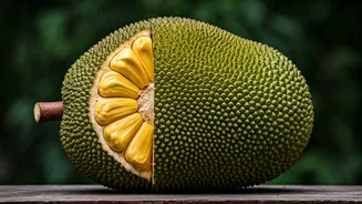 ಹಲಸಿನ ಹಣ್ಣು ಇಷ್ಟು ಜನಪ್ರಿಯವಾಗಿದ್ದೇಕೆ?