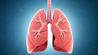 Shortness of Breath: A Pulmonologist's Insights